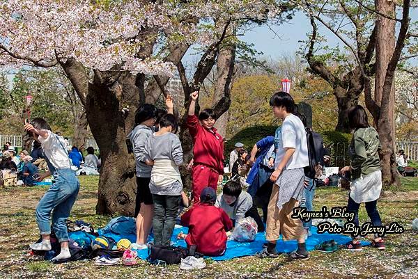 20170430盛岡城跡公園(岩手公園) (12).JPG