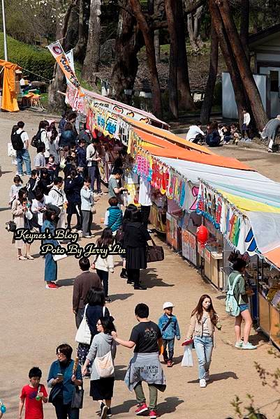 20170430盛岡城跡公園(岩手公園) (15).JPG