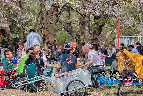 20170430盛岡城跡公園(岩手公園) (11).JPG