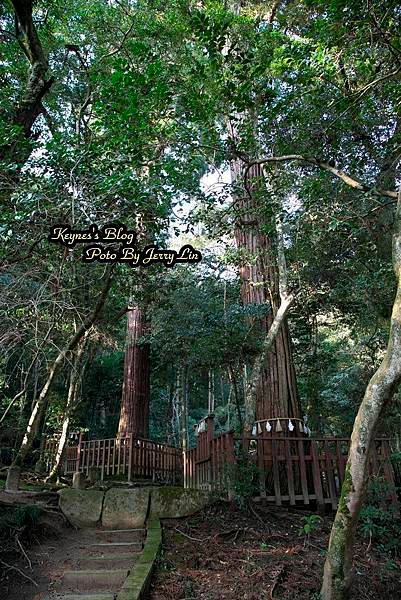 天鏡神社及鏡の池 (9).JPG