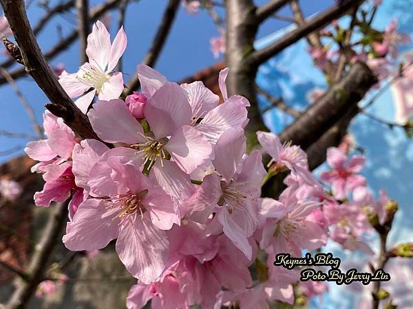IMG_8257.JPG