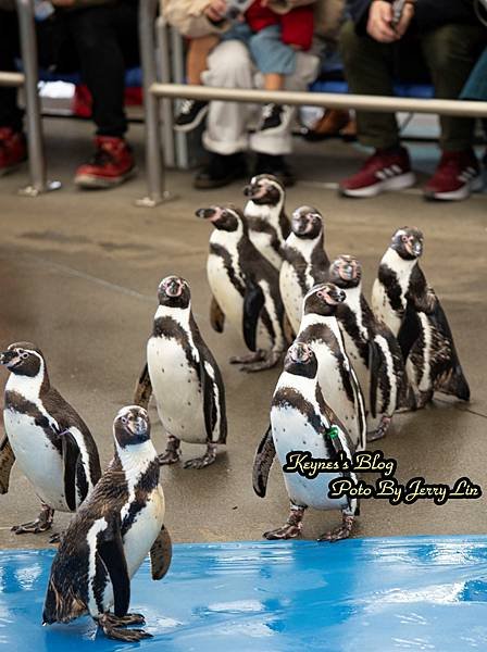 20240217【遊記§三重】鳥羽水族館(TOBA AQUA