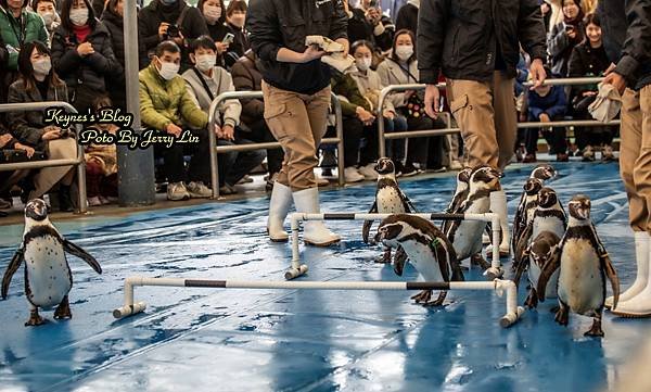 20240217【遊記§三重】鳥羽水族館(TOBA AQUA