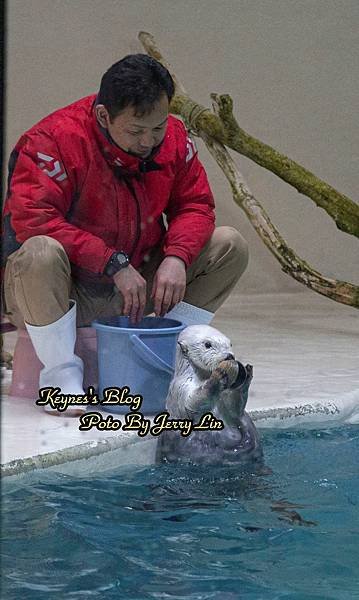 20240217【遊記§三重】鳥羽水族館(TOBA AQUA