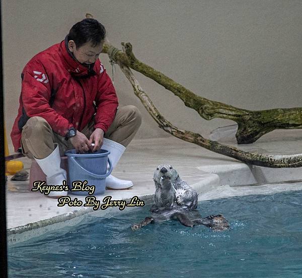 20240217【遊記§三重】鳥羽水族館(TOBA AQUA