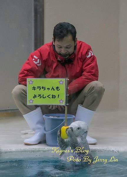 20240217【遊記§三重】鳥羽水族館(TOBA AQUA