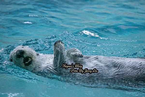 20240217【遊記§三重】鳥羽水族館(TOBA AQUA