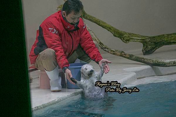 20240217【遊記§三重】鳥羽水族館(TOBA AQUA