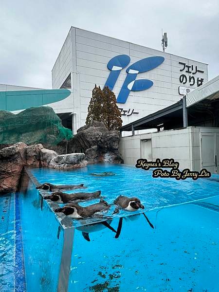 20240217【遊記§三重】鳥羽水族館(TOBA AQUA