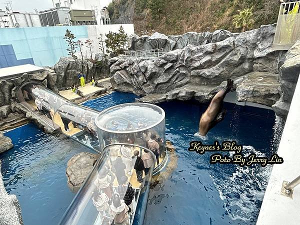 20240217【遊記§三重】鳥羽水族館(TOBA AQUA