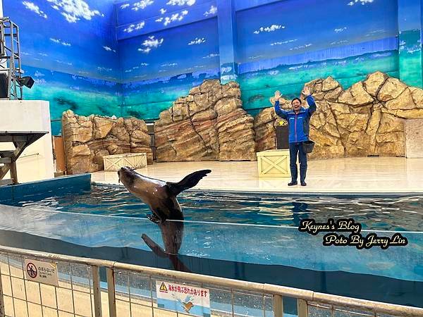 20240217【遊記§三重】鳥羽水族館(TOBA AQUA