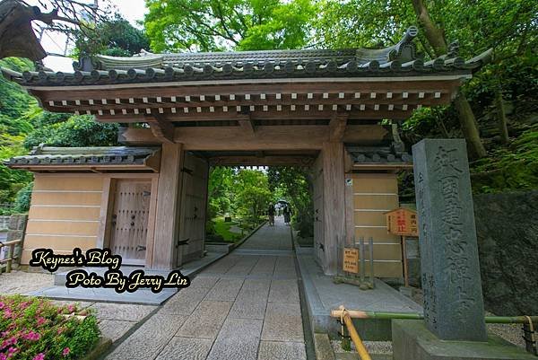 20240519【遊記§神奈川】鎌倉著名竹の庭景點~報國寺