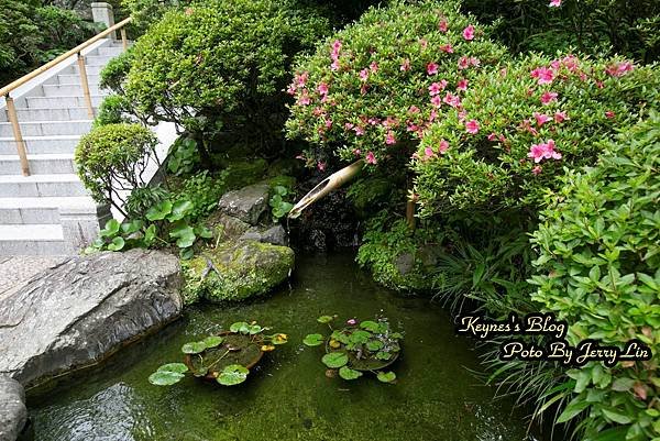 20240519【遊記§神奈川】鎌倉著名竹の庭景點~報國寺