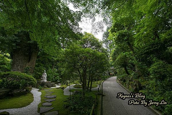 20240519【遊記§神奈川】鎌倉著名竹の庭景點~報國寺