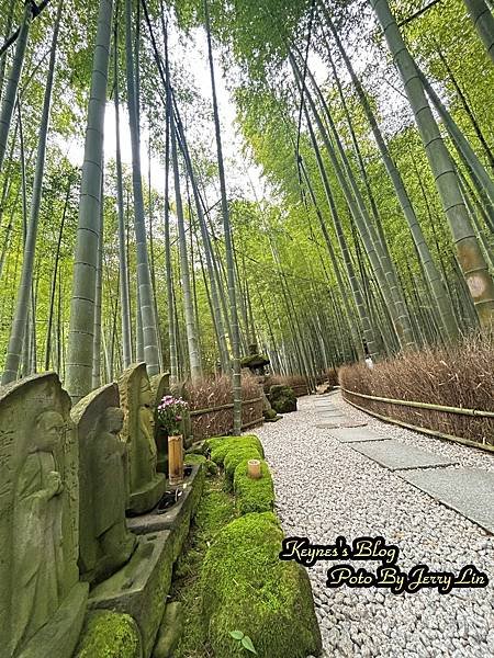 20240519【遊記§神奈川】鎌倉著名竹の庭景點~報國寺