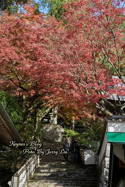 20241124【遊記§佐賀】基山大興善寺-秋(もみじの葉)