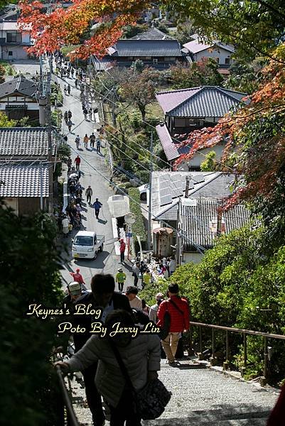 20241124【遊記§佐賀】基山大興善寺-秋(もみじの葉)