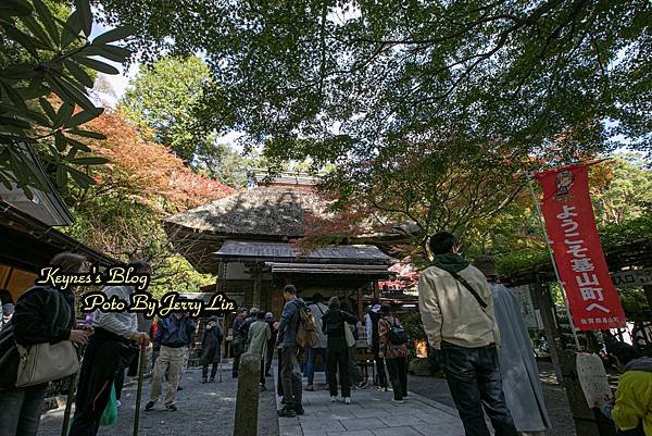 20241124【遊記§佐賀】基山大興善寺-秋(もみじの葉)