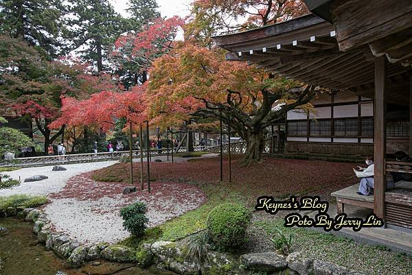 20241122【遊記§福岡】雷山千如寺大悲王院~紅葉