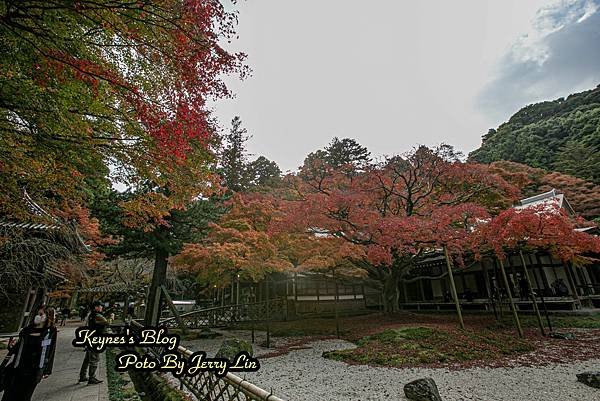 20241122【遊記§福岡】雷山千如寺大悲王院~紅葉