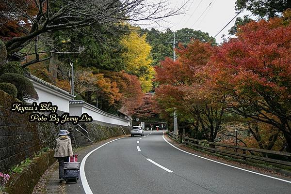 20241122【遊記§福岡】雷山千如寺大悲王院~紅葉