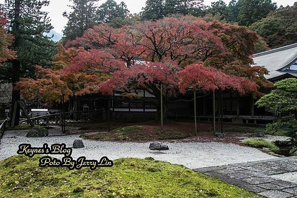 20241122【遊記§福岡】雷山千如寺大悲王院~紅葉