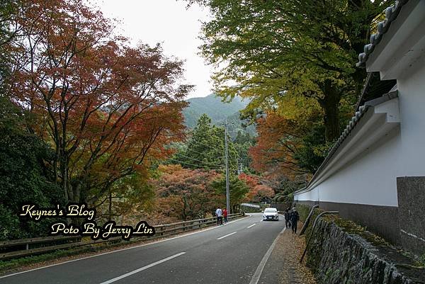 20241122【遊記§福岡】雷山千如寺大悲王院~紅葉