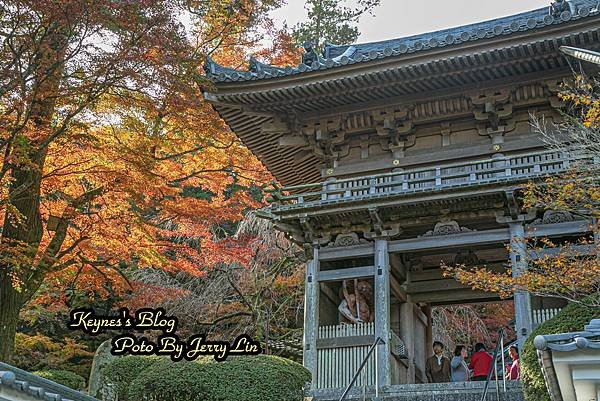 20241122【遊記§福岡】雷山千如寺大悲王院~紅葉