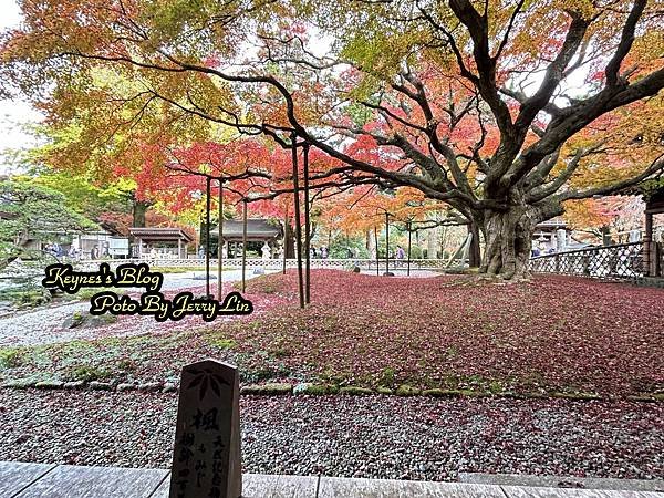 20241122【遊記§福岡】雷山千如寺大悲王院~紅葉