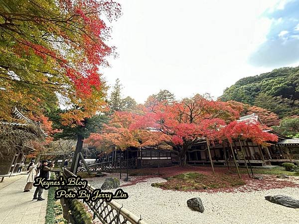 20241122【遊記§福岡】雷山千如寺大悲王院~紅葉