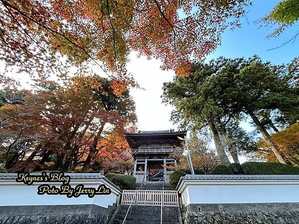 20241122【遊記§福岡】雷山千如寺大悲王院~紅葉