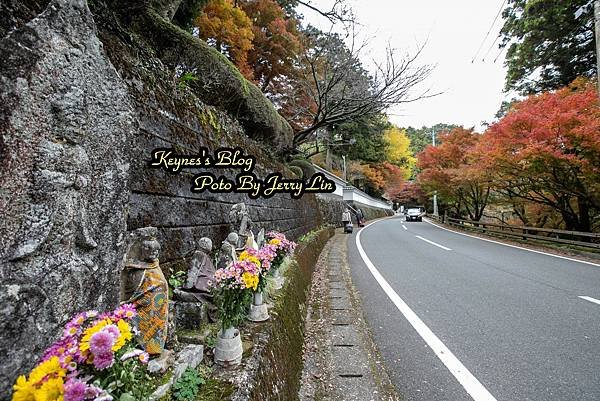 20241122【遊記§福岡】雷山千如寺大悲王院~紅葉