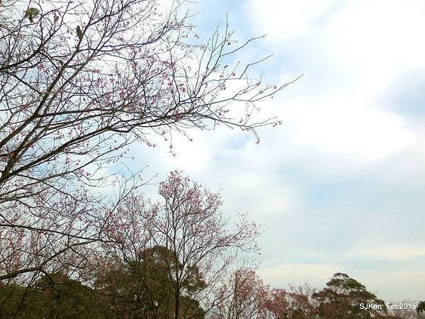 31-DSCN3804.JPG