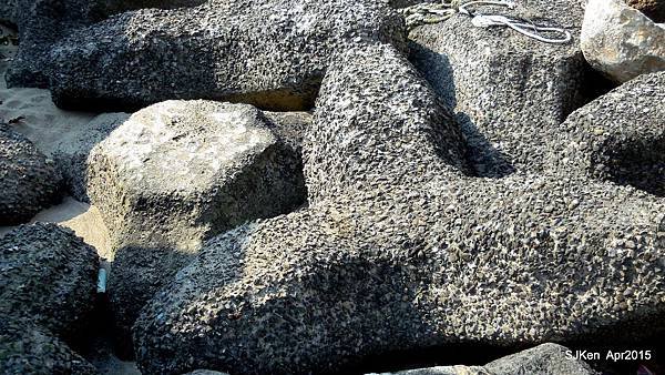 029-DSCN8623.JPG