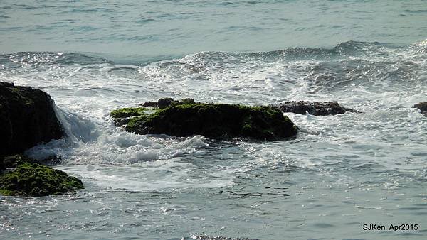 035-DSCN8612.JPG