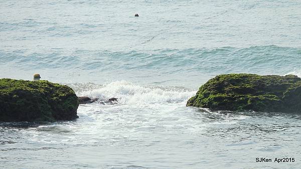 038-DSCN8614.JPG