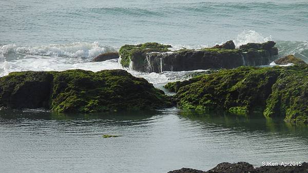 039-DSCN8615.JPG