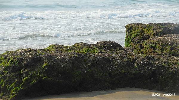040-DSCN8647.JPG