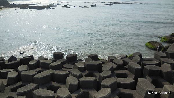 045-DSCN8601.JPG