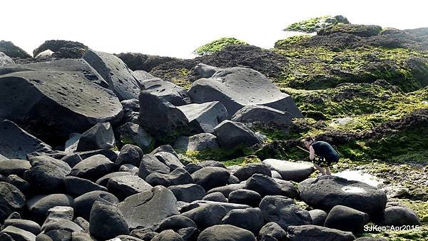 049-DSCN8606.JPG