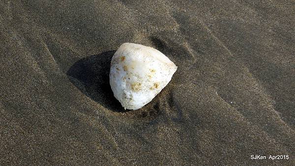 054-DSCN8657.JPG
