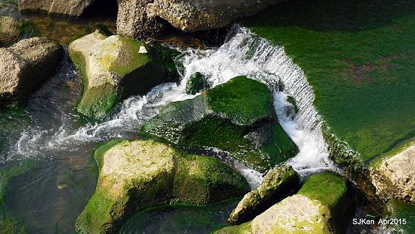 059-DSCN8661.JPG