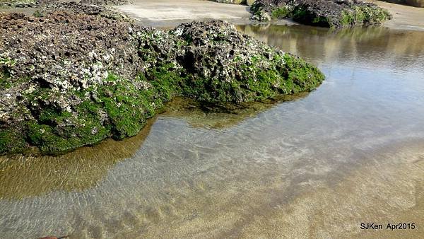 060-DSCN8640.JPG