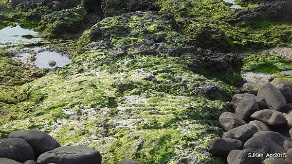 063-DSCN8604.JPG