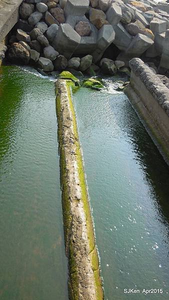 088-DSCN8669.JPG