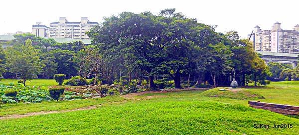 01-DSCN2482.JPG