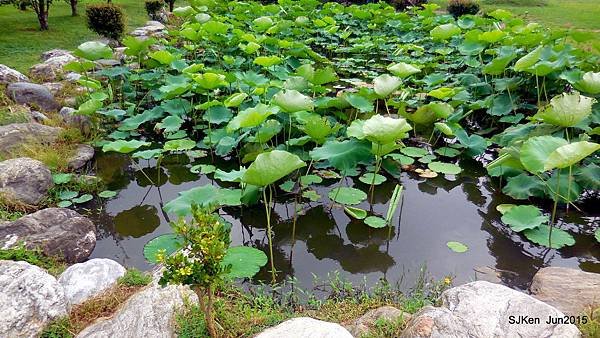 03-DSCN2311.JPG