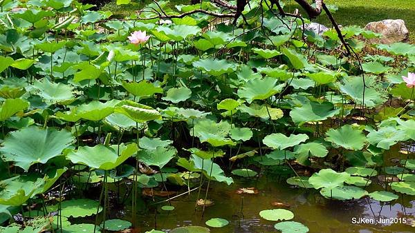 05-DSCN2425.JPG