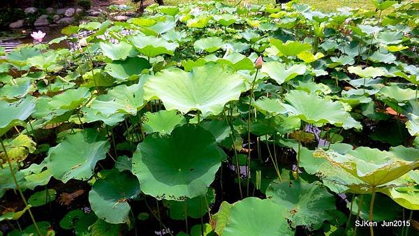 07-DSCN2288.JPG