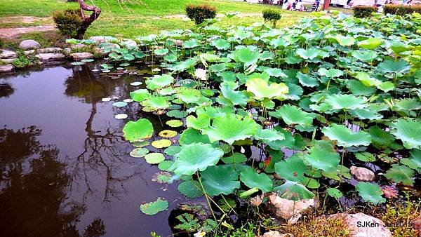 09-DSCN2497.JPG